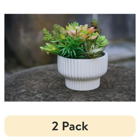 (2 pack) Better Homes & Gardens Pottery 8" Fischer Ceramic Planter, White