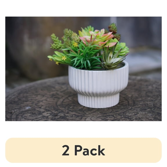 (2 pack) Better Homes & Gardens Pottery 8" Fischer Ceramic Planter, White