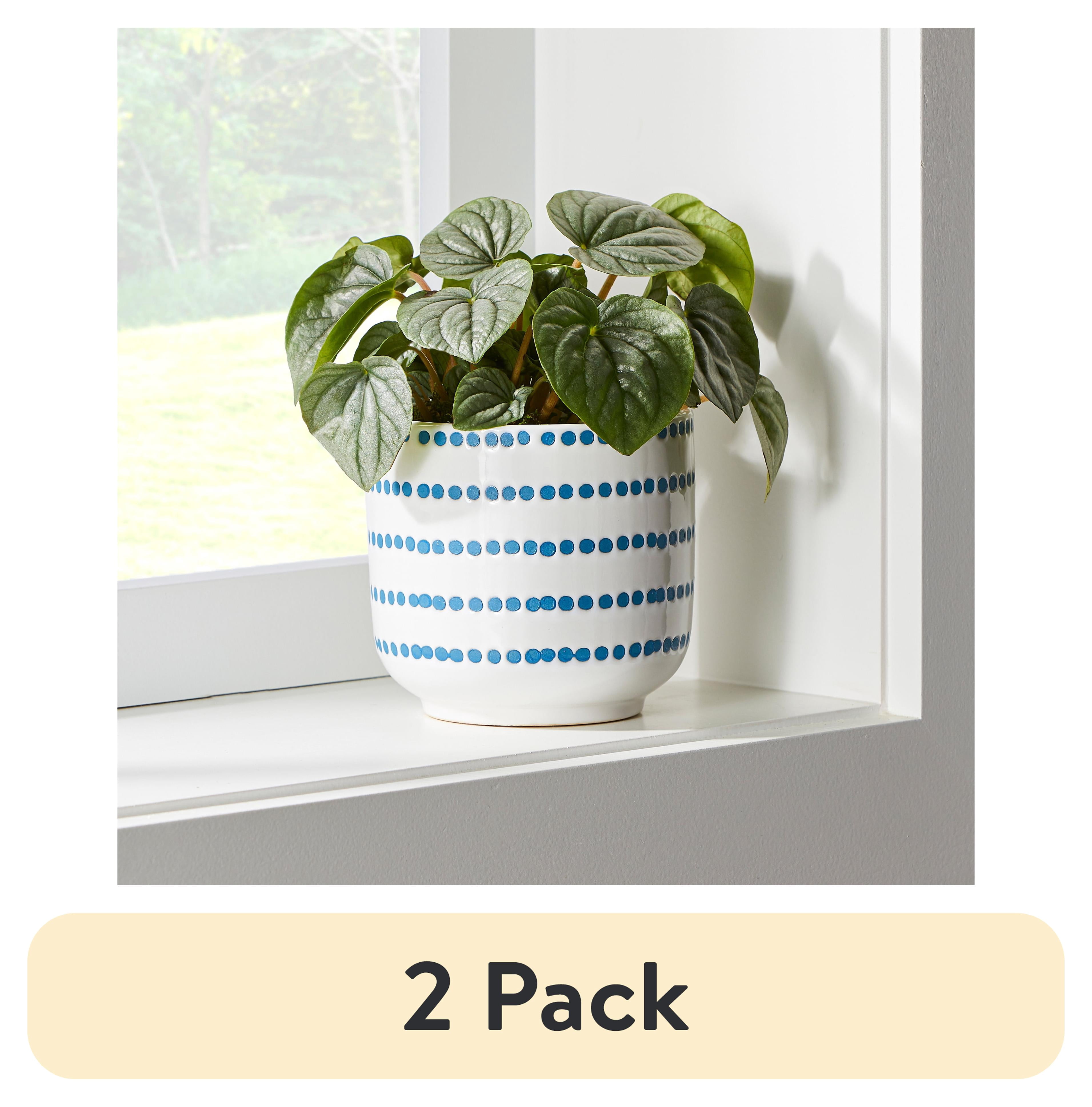 (2 pack) Better Homes and Gardens Blue Dot Ceramic Hazel Planter, 5.1 ...