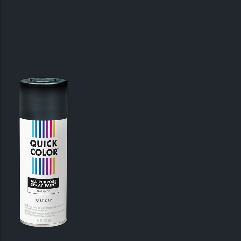 2 pack) Black, Quick Color Flat All Purpose Spray Paint-391194, 10