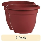 Bloem 6-in Ariana Self Watering Plastic Planter - Burnt Red