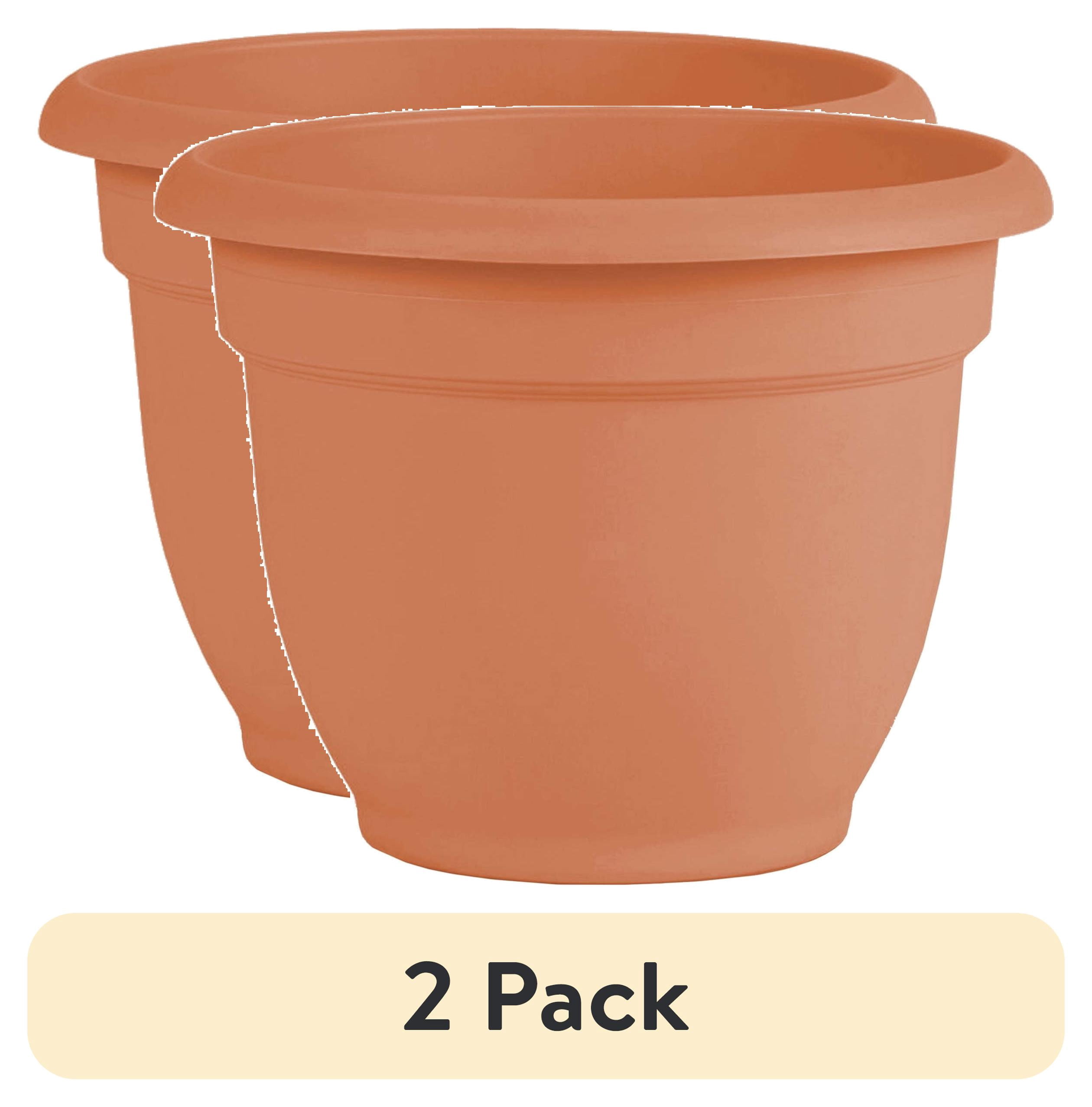 (2 pack) Bloem Ariana 10" Self-Watering Plastic Planter - Rolled Rim