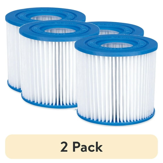 (2 pack) Bluescape Type D Pool Filter Cartridge 2-Pack, White, Adults