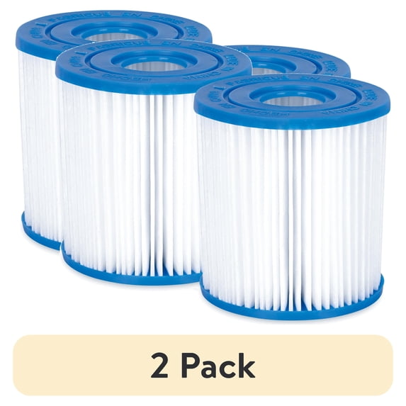 (2 pack) Bluescape Type I Pool Filter Cartridge 2-Pack, White, Adults