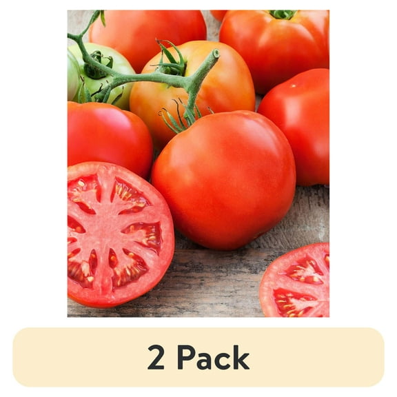 (2 pack) Bonnie Plants Green Big Beef Tomato Live Plant