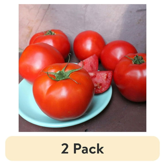 (2 pack) Bonnie Plants Green Summer Set Tomato Live Plant