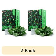 (2 pack) BrightSide LED Cascading Curtain Vine Indoor Lights, Warm White, 3.5ft W x 5ft H