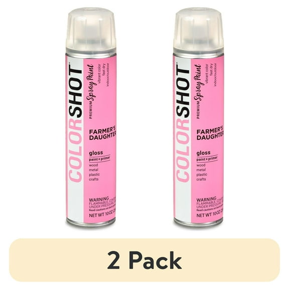 (2 pack) COLORSHOT Premium Multi-Surface Gloss Farmers Daughter Spray Paint - 10 oz - Pink