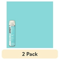 (2 pack) COLORSHOT Premium Multi-Surface Gloss Island Girl Spray Paint - 10 oz - Mint
