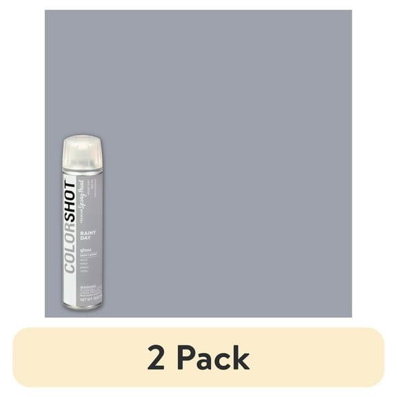 (2 pack) COLORSHOT Premium Multi-Surface Glosss Rainy Day Spray Paint - 10 oz - Gray