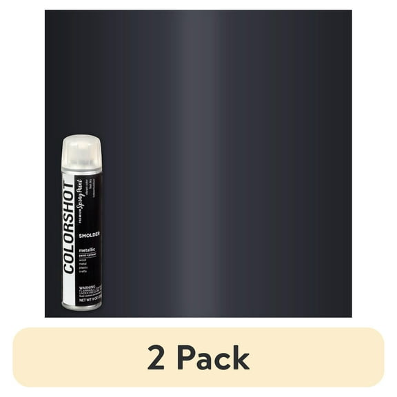 (2 pack) COLORSHOT Premium Multi-Surface Metallic Smolder Spray Paint - 9 oz - Black