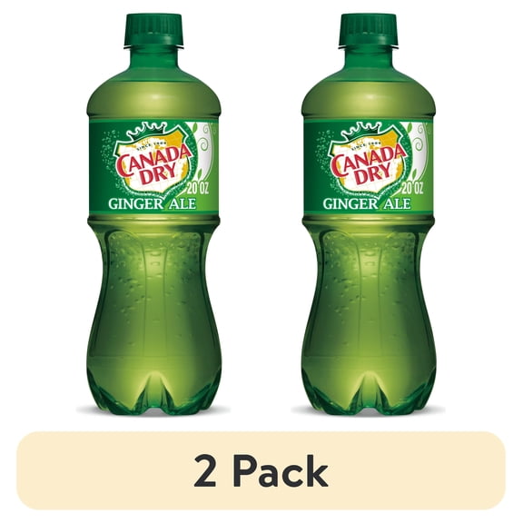 (2 pack) Canada Dry Ginger Ale Soda 20oz Bottles, Quantity of 12