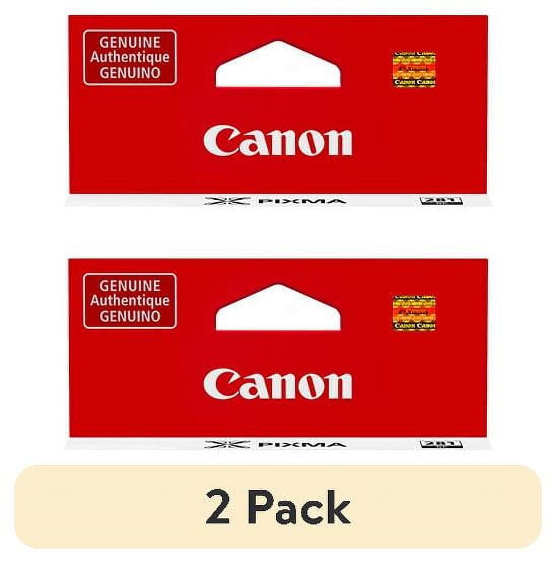 (2 pack) Canon 2091C001 (CLI-281) ChromaLIfe100+ Ink 750 Page-Yield Black