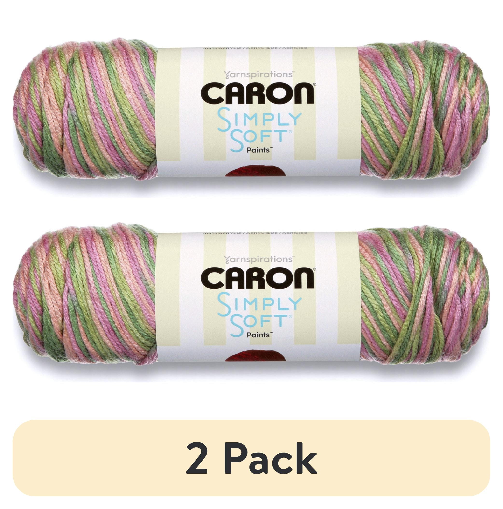 (2 pack) Caron Acrylic Simply Soft Paints Yarn (141 g/5 oz), Rose ...