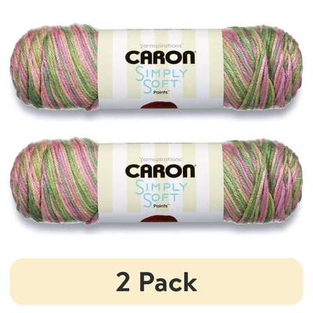 Caron Acrylic Simply Soft Paints Yarn (141 g/5 oz), Rose Garden