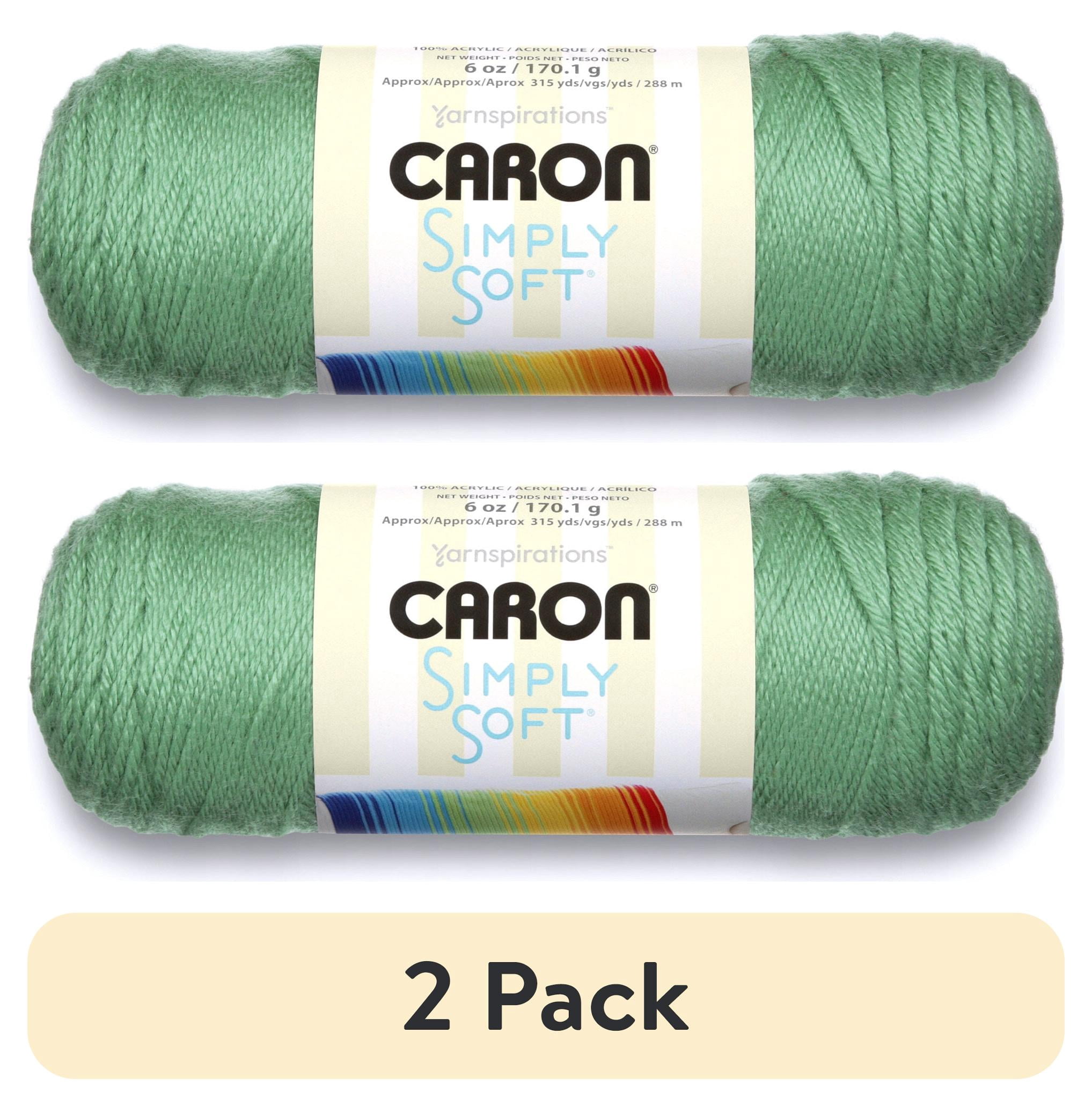 (2 pack) Caron Medium Acrylic Sage Yarn, 315 yd