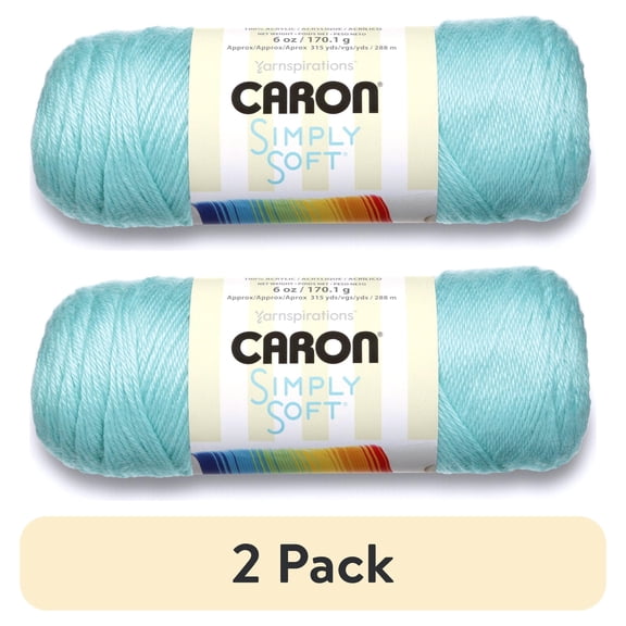 (2 pack) Caron Simply Soft Medium Acrylic Robins Egg Yarn, 315 yd