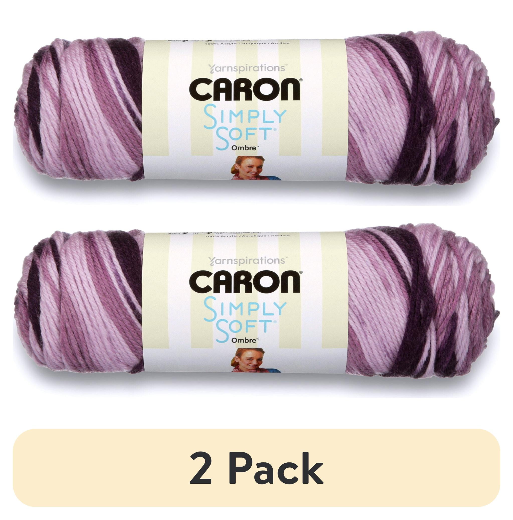 (2 pack) Caron Simply Soft Ombre 4 Medium Acrylic Yarn, Grape Purple ...