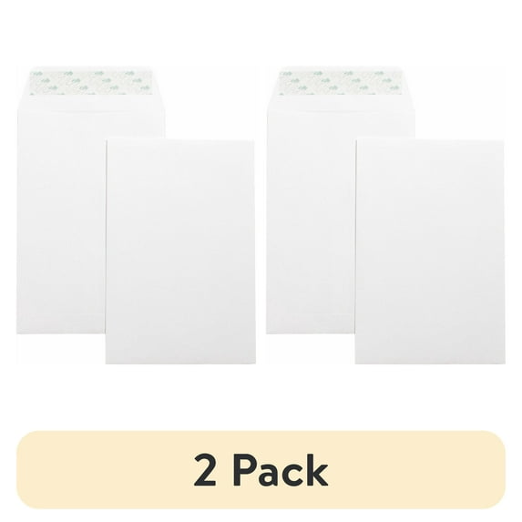 (2 pack) Catalog Envelope