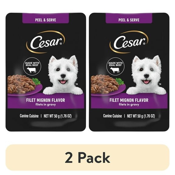(2 pack) Cesar Filets in Gravy Filet Mignon Flavor Wet Dog Food, 1.76-oz Mini-Pouches