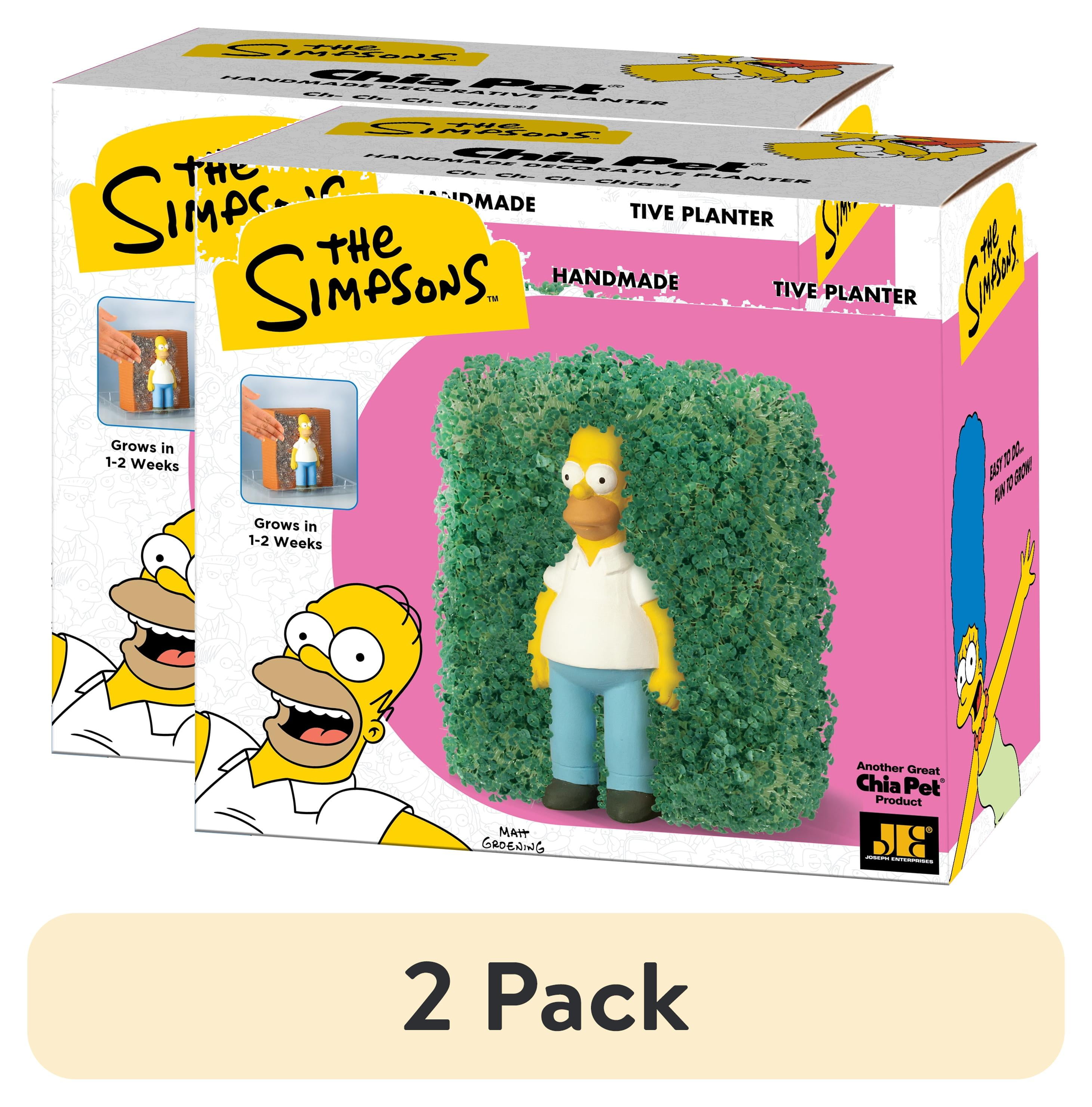 2 pack) Homer Simpson Chia Pet Handmade Decorative Planter by JEI