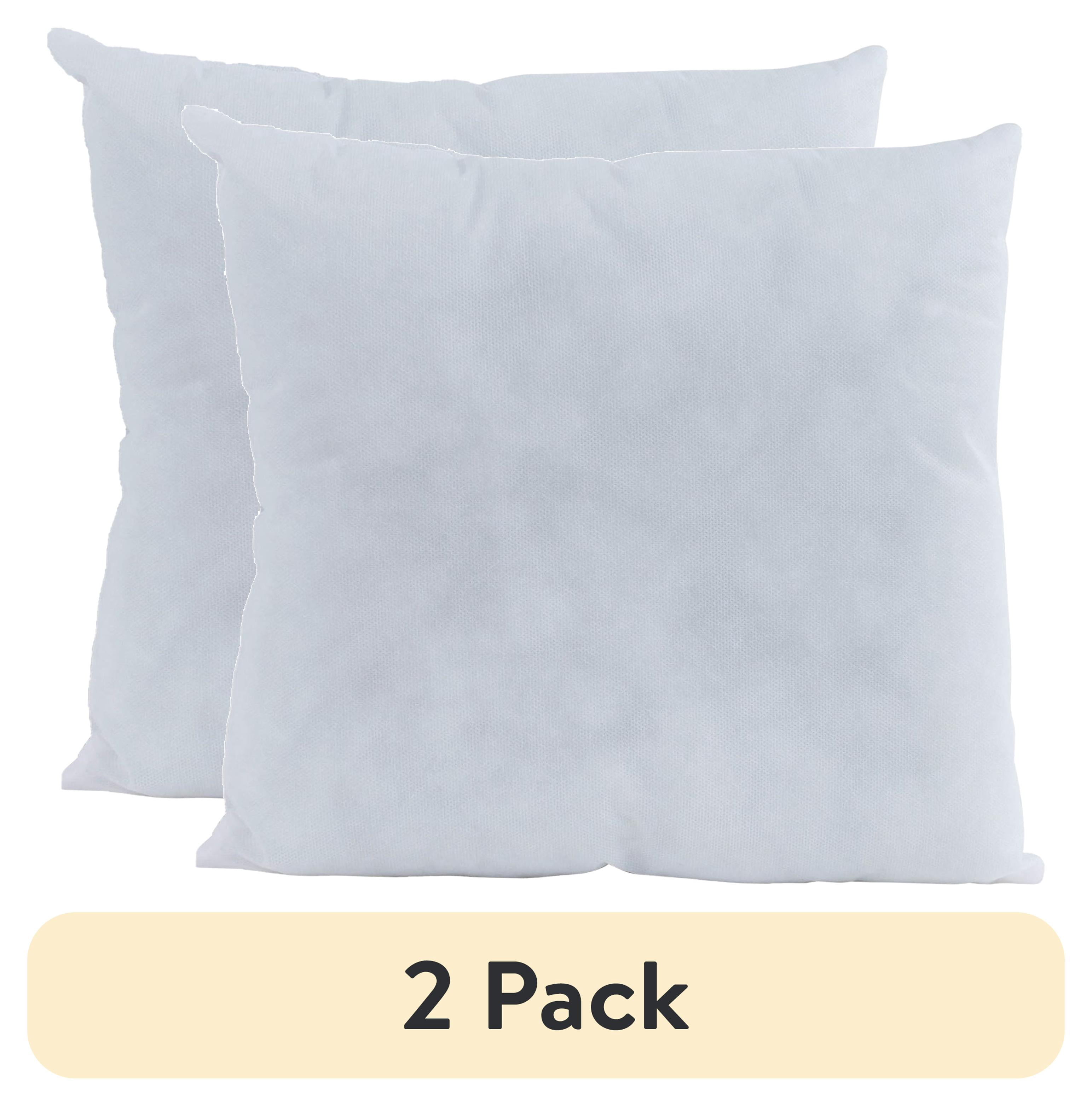(2 pack) Fairfield Crafter's Choice Pillow Insert 20" x 20"