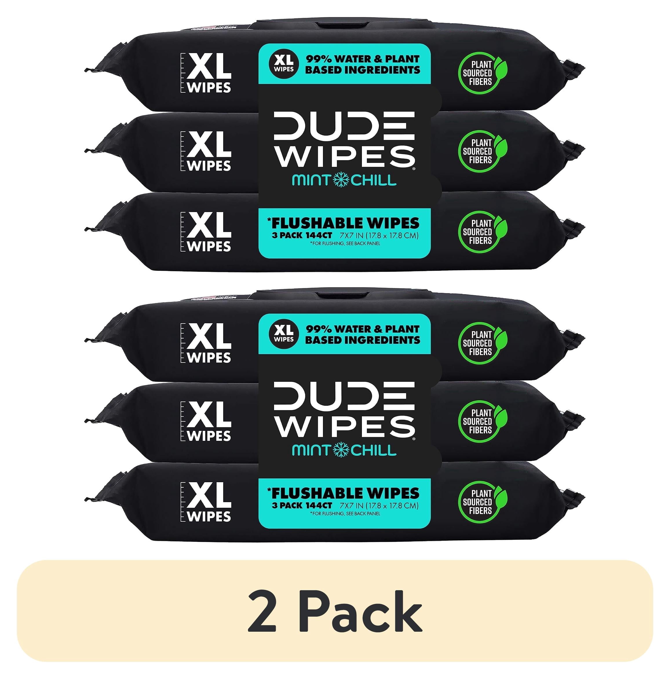 (2 pack) DUDE Flushable Wipes, Extra Large Mint Chill Wet Wipes, 48 Count, 3 Pack (144 Total)