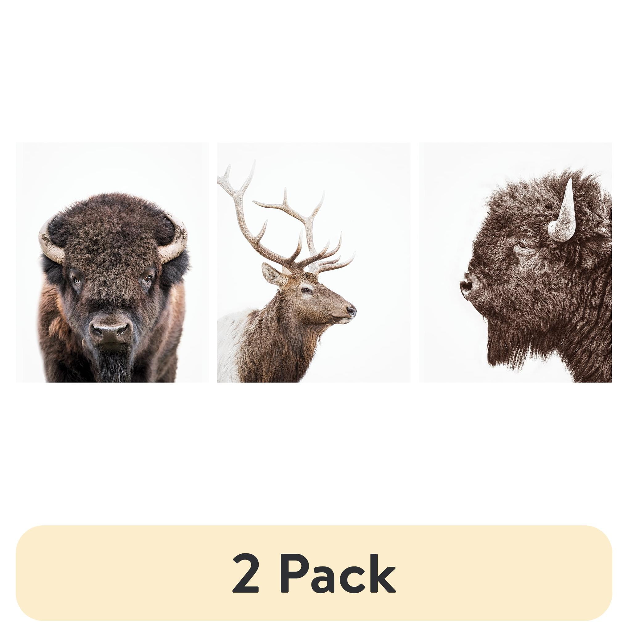 (2 pack) DesignOvation Forest Animals Unframed Art Prints 8” x 10” Set of 3 by Amy Peterson