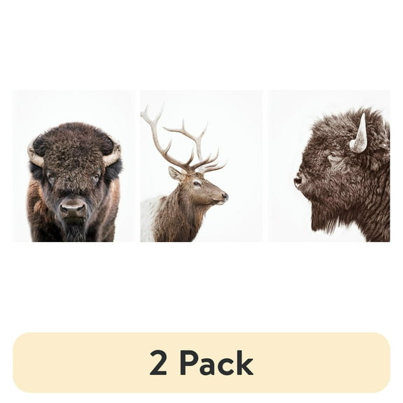 (2 pack) DesignOvation Forest Animals Unframed Art Prints 8” x 10” Set of 3 by Amy Peterson