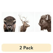 2 pack DesignOvation Forest Animals Unframed Art Prints 8  x 10  Set of 3 by Amy Peterson
