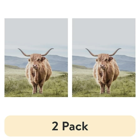 (2 pack) DesignOvation Highland Cow Unframed Art Prints 8” x 10” Set of 3 by The Creative Bunch Studio