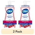 thumbnail interactive-video image 1 of (2 pack) Dial Antibacterial Defense Power Berries Scent Foaming Hand Soap, 7.5 fl oz, 1 of 13