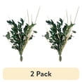 thumbnail image 1 of (2 pack) Botanical Avenue Eucalyptus Mix Green Bouquet - Indoor Decor, Artisan Crafted, Dried Floral Arrangement, 1 of 5
