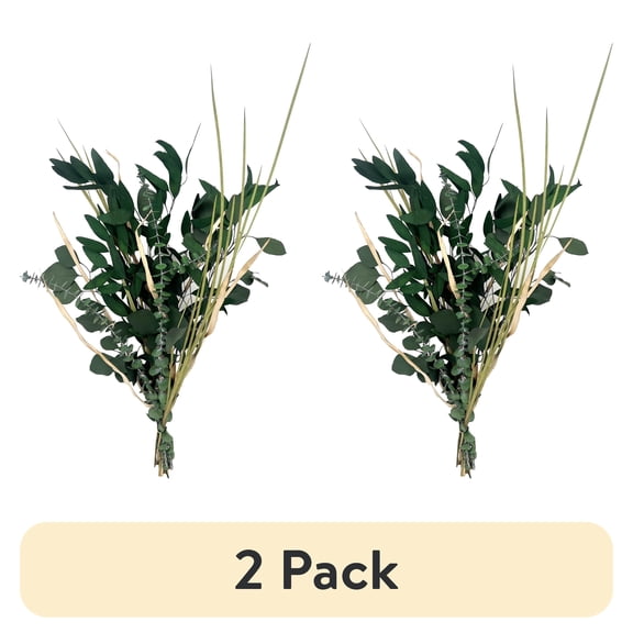 (2 pack) Botanical Avenue Eucalyptus Mix Green Bouquet - Indoor Decor, Artisan Crafted, Dried Floral Arrangement