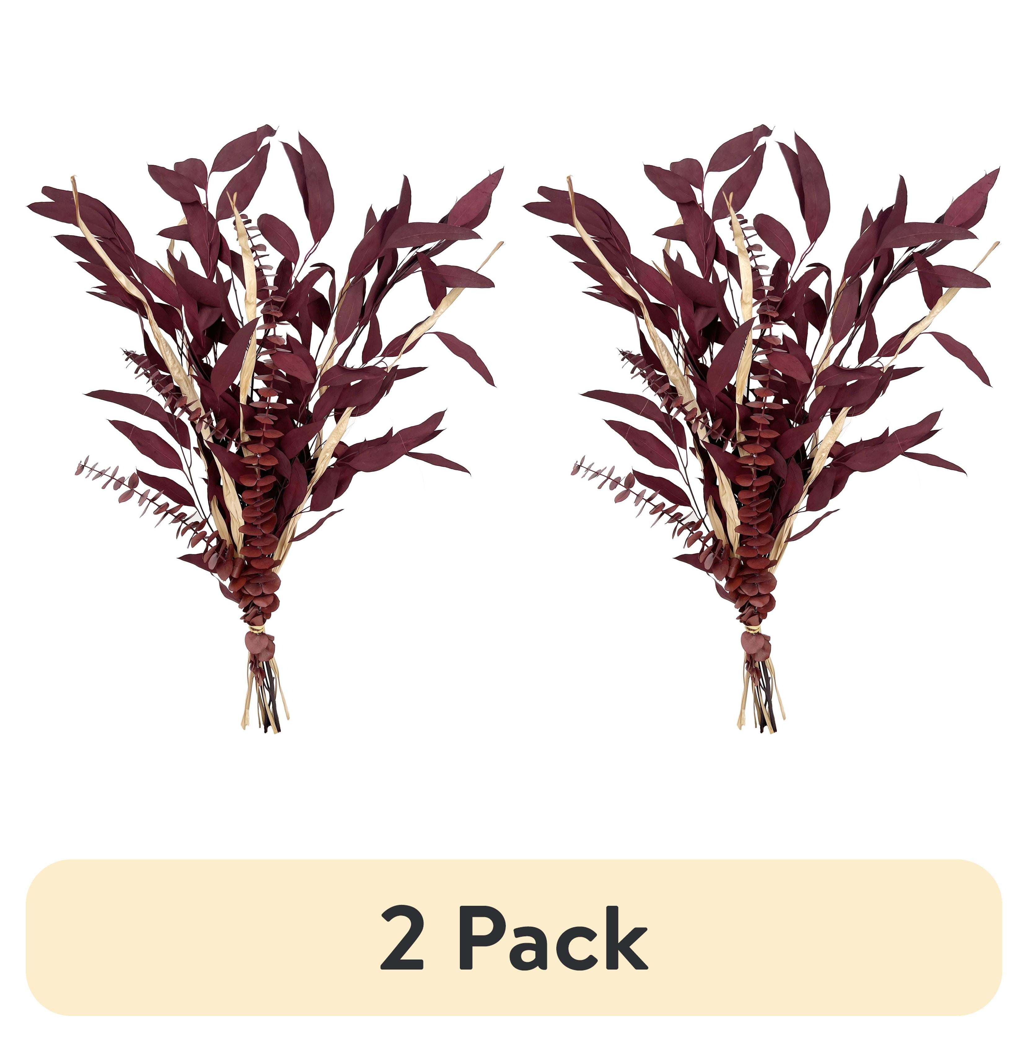 (2 pack) Dried Eucalyptus Mix Red Bouquet
