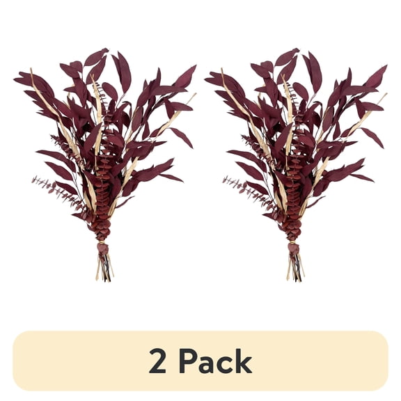 (2 pack) Dried Eucalyptus Mix Red Bouquet