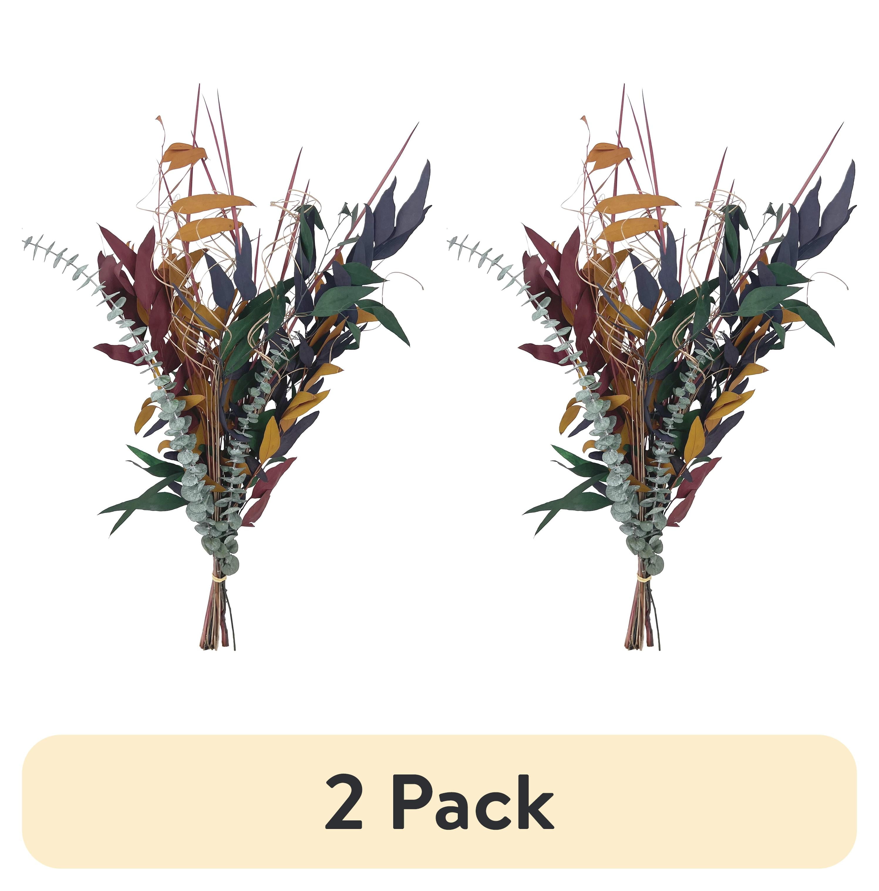 (2 pack) Botanical Avenue Dried Eucalyptus Multi Bunch for Home Decor