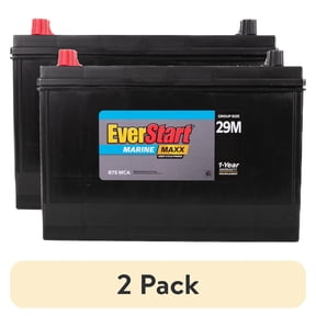 (2 pack) EverStart Maxx Lead Acid Marine & RV Deep Cycle Battery, Group Size 29DC - 12 Volt - 845 Marine Cranking Amps