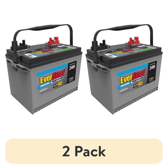 Fresh Look at 2 Pack Everstart Platinum Agm Marine Rv Deep Cycle Battery