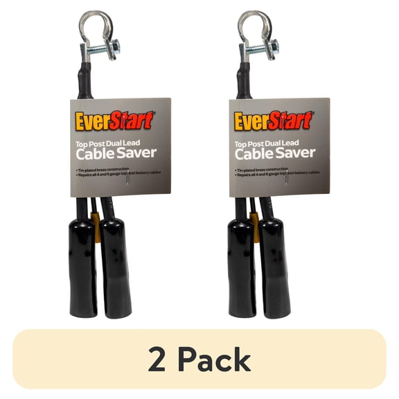 (2 pack) EverStart 951W 100 Amps 12 Volts