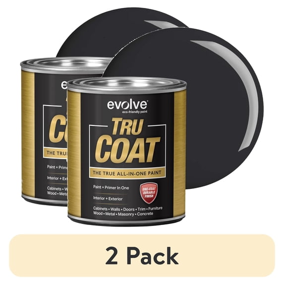 (2 pack) Evolve Tru Coat Black Iron Matte Acrylic Latex All in One Paint and Primer, 1 Quart