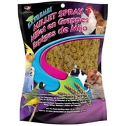 (2 pack) F.M. Brown's Extreme Spray Millet Treat 16 Oz For Parakeets, Cockatiels, and Finches