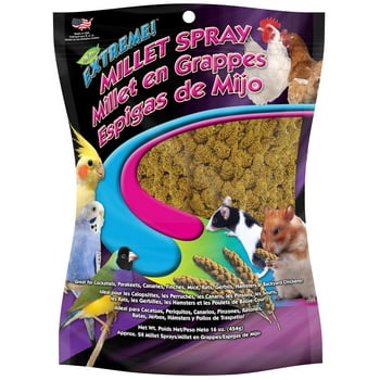 (2 pack) FM Brown Extreme Spray Millet Treat 16 oz.