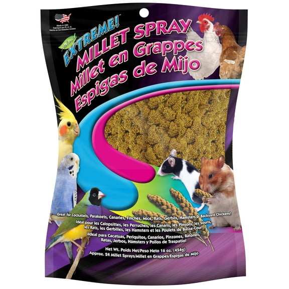 (2 pack) F.M. Brown's Extreme Spray Millet Treat 16 Oz For Parakeets, Cockatiels, and Finches