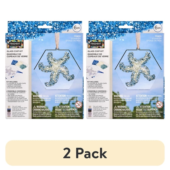 (2 pack) Fragment Effects Glass Chip Crafting Set, Starfish, 6 Piece