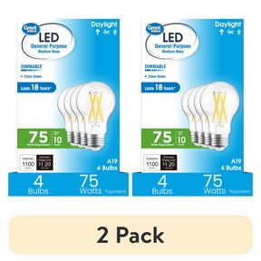 10w LED Light Bulbs for Household Essentials