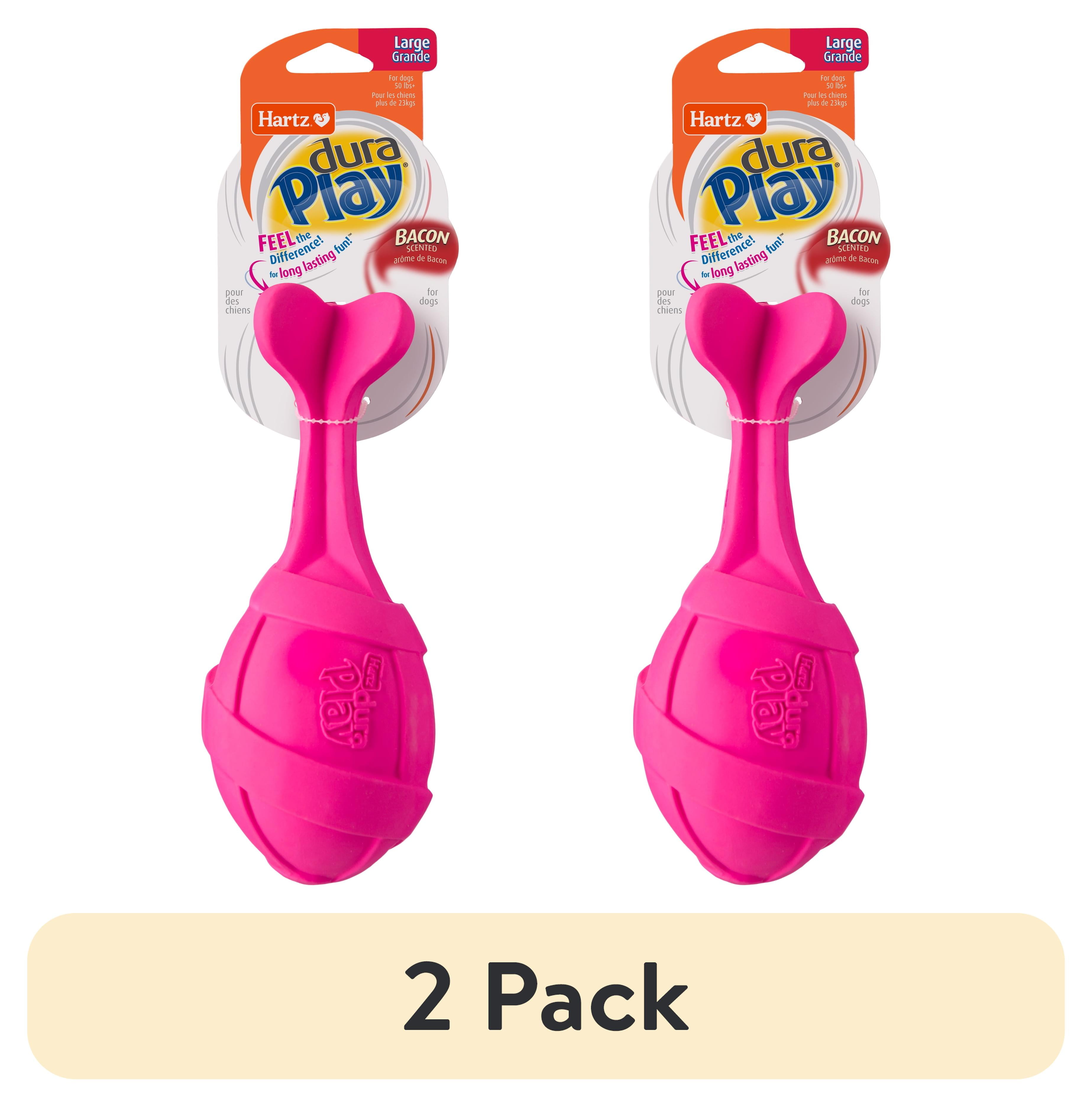 P.fsq De La Rocha デラロッチャ　pup 2-pack-Hartz-Dura-Play-Rocket- ビカクシダ