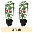 thumbnail image 1 of (2 pack) Harvest Bloom Garden Planter with Self-Watering System and Adjustable Trellis for Your Outdoor Balcony, Patio, or Backyard Garden by NuVue Products, 1 of 8