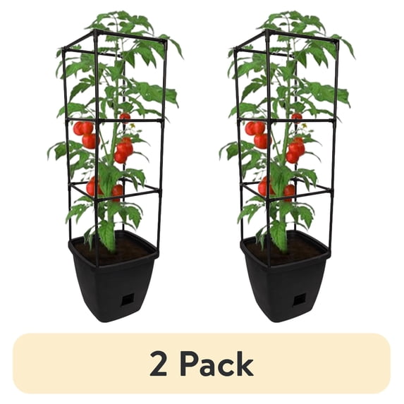 (2 pack) Harvest Bloom Garden Planter with Self-Watering System and Adjustable Trellis for Your Outdoor Balcony, Patio, or Backyard Garden by NuVue Products