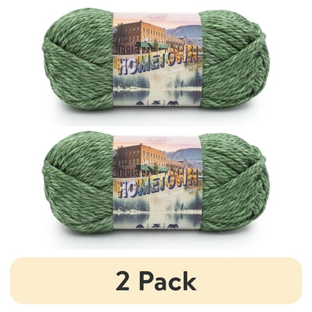 (2 pack) Lion Brand Yarn Hometown Everglades 135-241G Super Bulky Acrylic Yarn